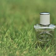 Infusion d'Homme Prada cologne - a fragrance for