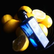 citron noir hermes fragrantica