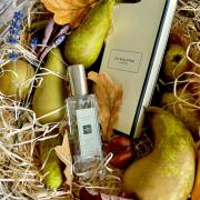 English pear and online freesia fragrantica