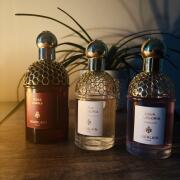 Photo by DonnaFromRoA