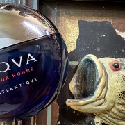 Aqva Pour Homme Atlantiqve Bvlgari Colonia - una fragancia para