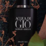 Acqua di Giò Profumo Giorgio Armani cologne - a fragrance for men 2015