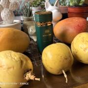 Photo by PeruvianMonkey