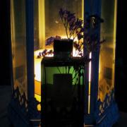 davidoff wood blend fragrantica