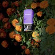 Photo by NevashaMasha