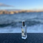 Wood sage & sea salt online fragrantica