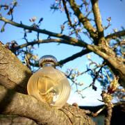 Photo by Anna Sufiskiff