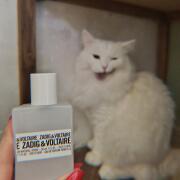 Photo by sololovey1992