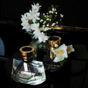 Jasmin Noir Bvlgari perfume a fragrance for women 2008