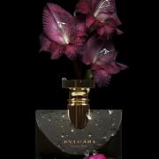 Photo by Лейка@@@