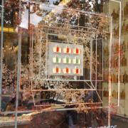 Photo by sandrina_bambina