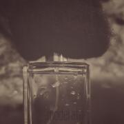 Pioggia Moderata Filippo Sorcinelli perfume - a fragrance
