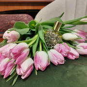 Photo by F. Nata. Iia.