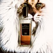 Photo by MrFumejunkie