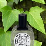 diptyque Eau de Lierre 香水 Amazon.com : Diptyque Lierre Eau de Toilette - 3.4 oz