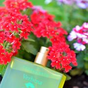 Photo by Chrome Midas