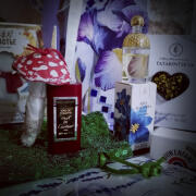 Photo by Engel desTodes