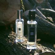 Jo malone english discount oak and hazelnut fragrantica