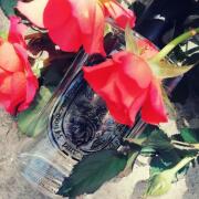 Eau Rose Diptyque perfume - a fragrance for women 2012