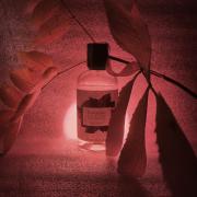 Photo by fabrice1977