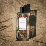 Oud Al Sahraa Parfums Berdoues perfume - a fragrance for women and men 2015