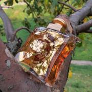 Photo by Мелифаро