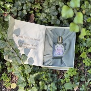 Nesso Portelier Parfum perfume - a new fragrance for women and men 2025