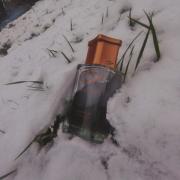 Photo by Musings of a Fraghead