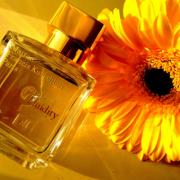 gentle fluidity gold fragrantica