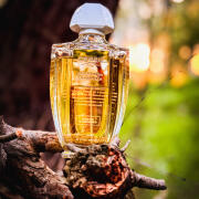 Aberdeen Lavender Creed perfume - a fragrance for women and