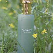 Bloomtea Hermetica perfume - a new fragrance for women and