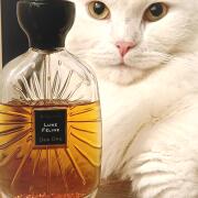 Photo by sololovey1992