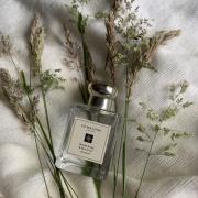 Wood sage & sea salt online fragrantica