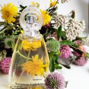 Nazareno Nazareno Gabrielli perfume - a fragrance for women 2000