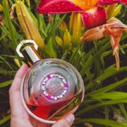 Photo by startfromthemarch