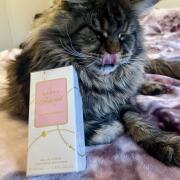 Photo by HelenRainbow