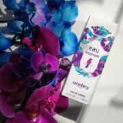 sisley　eau tropicale オードトワレ 100ml Eau Tropicale 100 ml - Sisley Paris