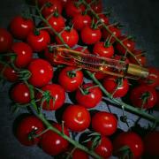 Photo by Engel desTodes