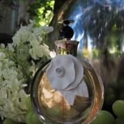 Acqua Floreale Valentino perfume - a fragrance for women 2013