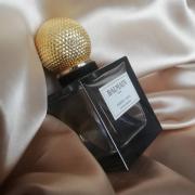 last her Advarsel Ambre Gris Pierre Balmain parfum - un parfum pour femme 2008