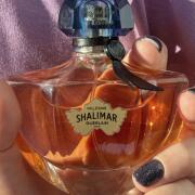 Photo by ShinningLightOfThunder