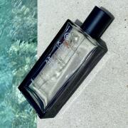 Photo by ZavarukhinSerge