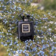 ❣️CHANEL♡COCO NOIR香水瓶チャー厶♡フィルム付き❣️ Amazon.com : Chanel Coco Noir Eau De Parfum Spray 35ml/1.2oz