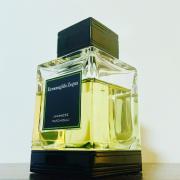 Javanese Patchouli Ermenegildo Zegna cologne - a fragrance for men 2012