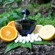 Shalimar Souffle de Parfum Guerlain perfume - a fragrance for