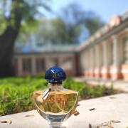 Shalimar Eau de Toilette Guerlain 香水- 一款1925年女用香水