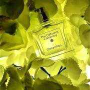 Osmanthus The Different Company perfume - a fragrance for women