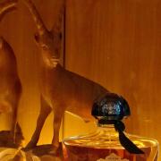 Photo by Fede Besanzoni