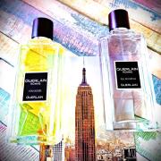 Guerlain Homme L'Eau Boisée Guerlain cologne - a fragrance for men