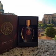 Photo by Dreaming Violin